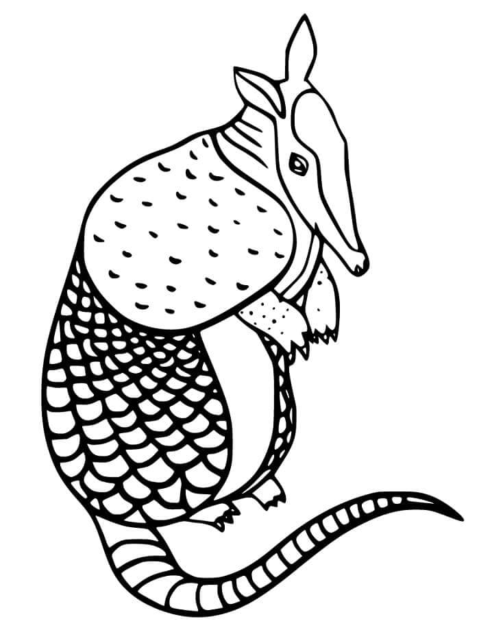 dibujo armadillo de pie para colorear