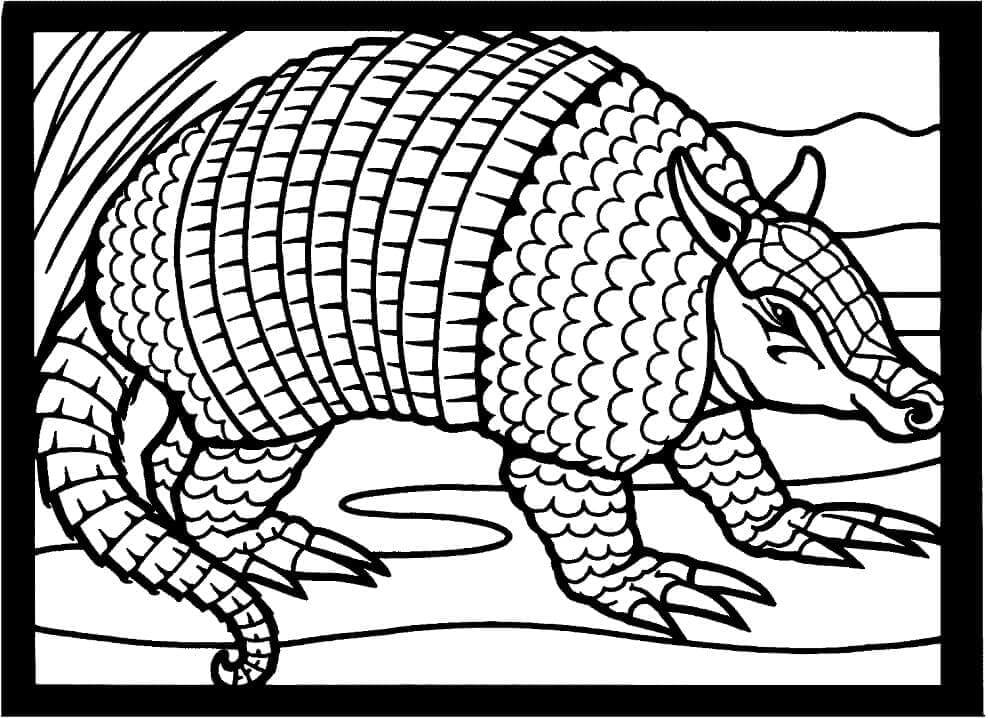 dibujo armadillo divertido para colorear
