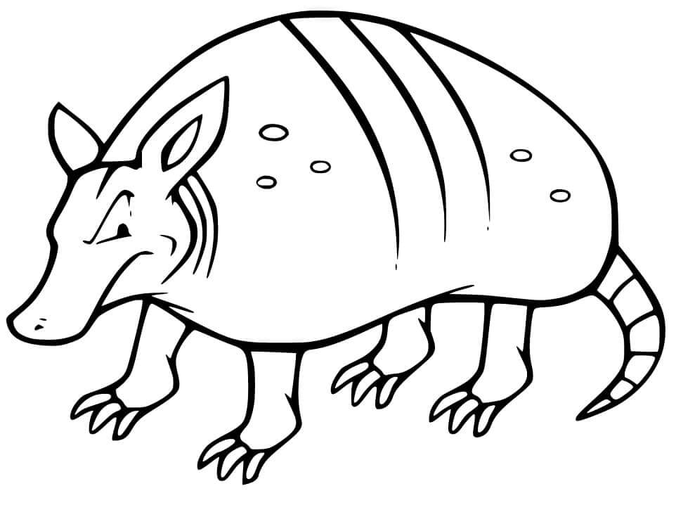 dibujo armadillo esta sonriendo para colorear