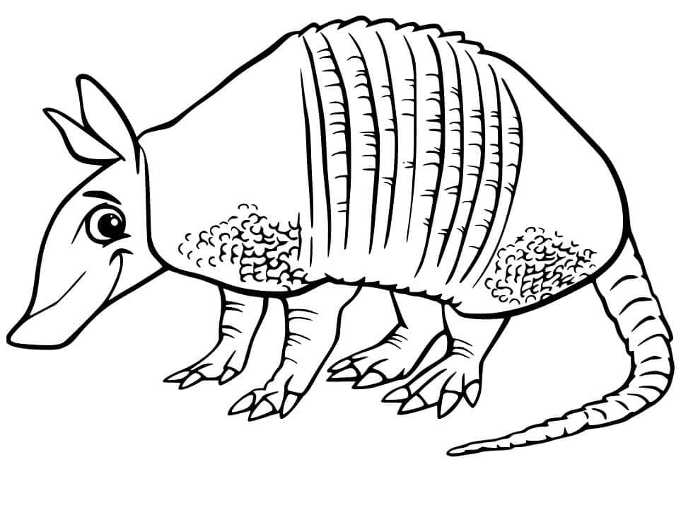 dibujo armadillo estupido para colorear