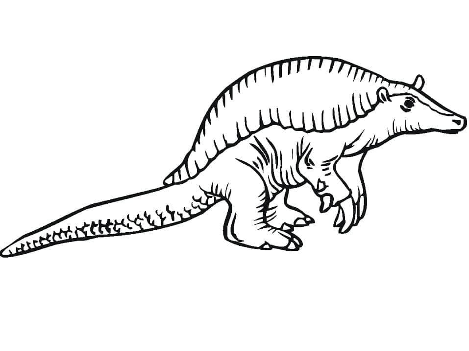 dibujo armadillo gigante para colorear