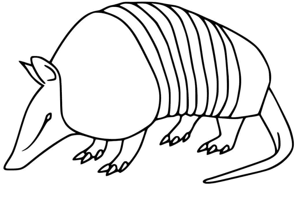 dibujo armadillo gigante realista para colorear