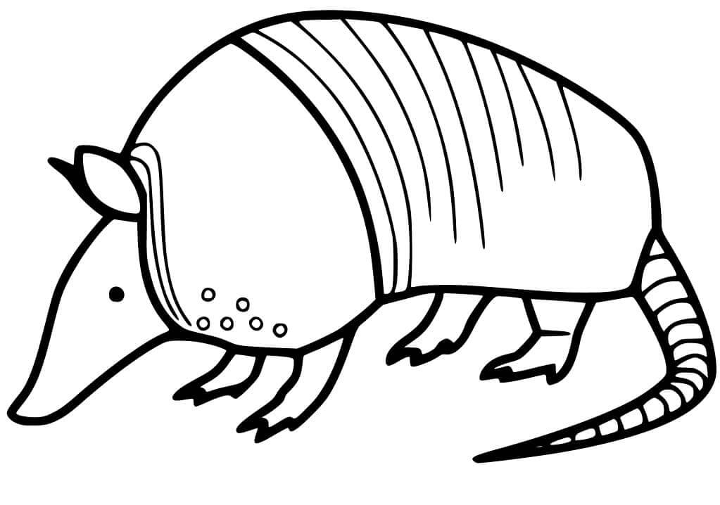 dibujo armadillo gratis para colorear