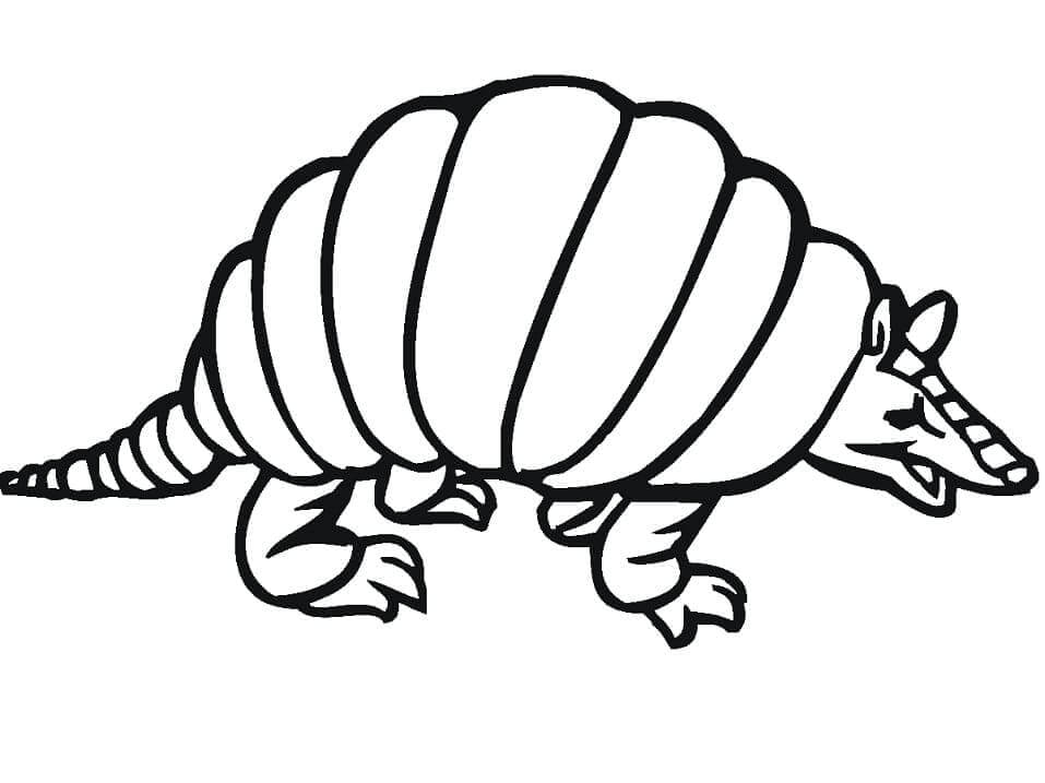 dibujo armadillo imprimible para colorear