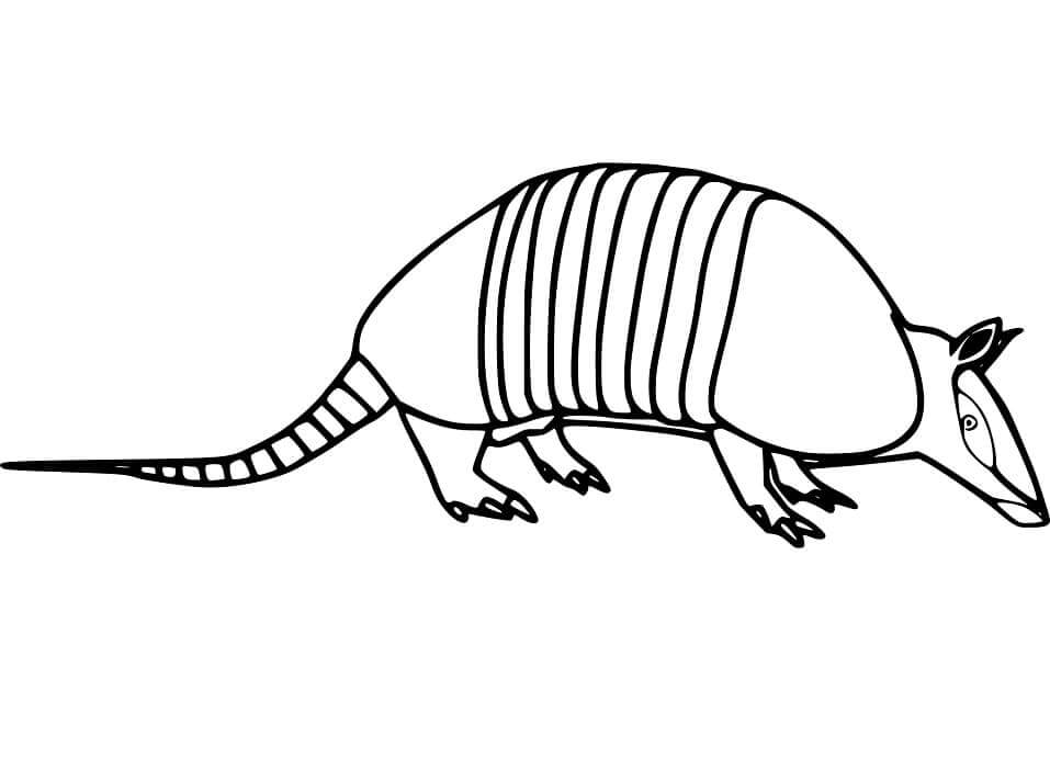 dibujo armadillo normal para colorear