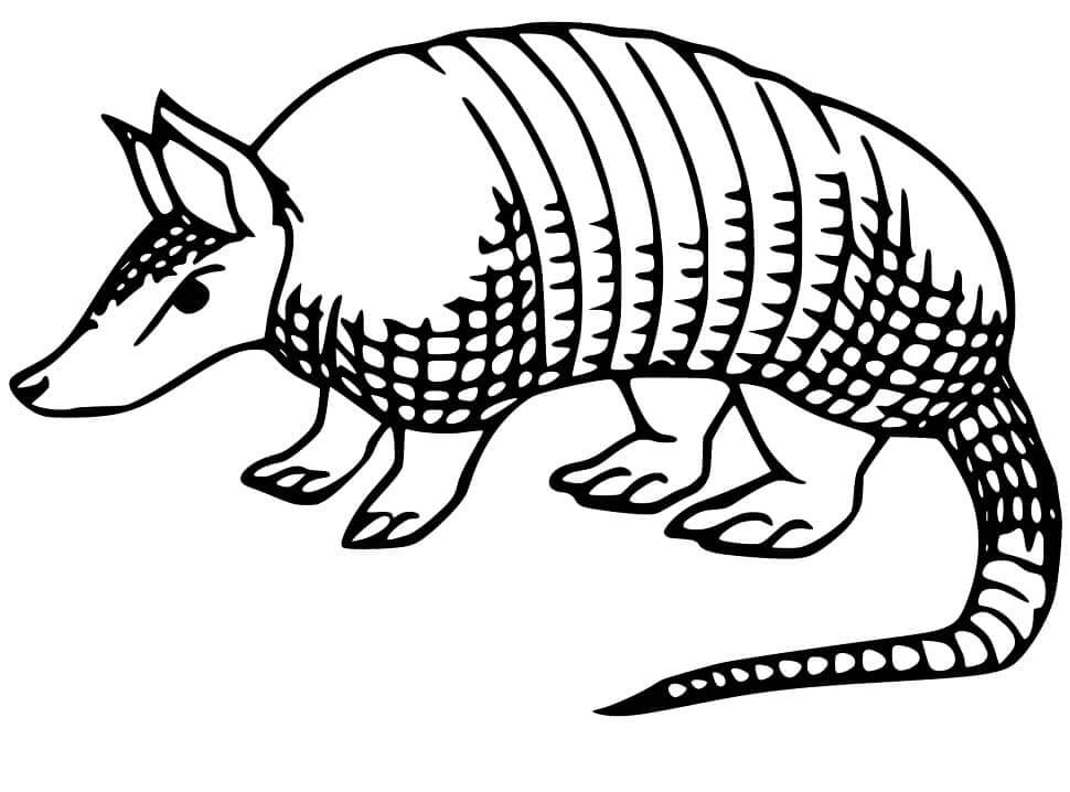 dibujo armadillo para imprimir gratis para colorear