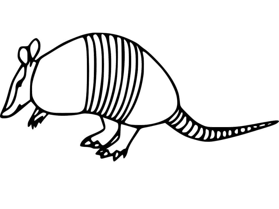 dibujo armadillo y ball para colorear