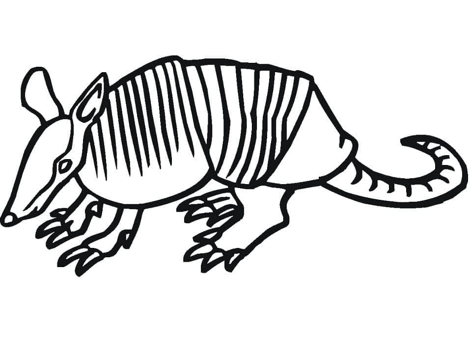 dibujo dibujo de armadillo para colorear