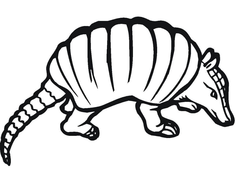 dibujo hermoso armadillo para colorear