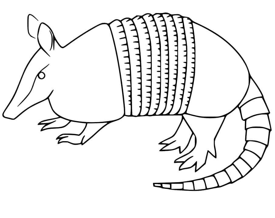 dibujo impresionante armadillo para colorear