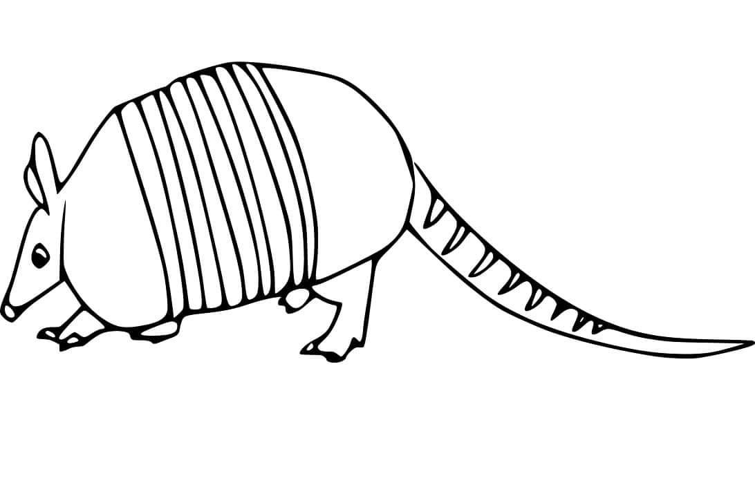 dibujo lindo armadillo para colorear