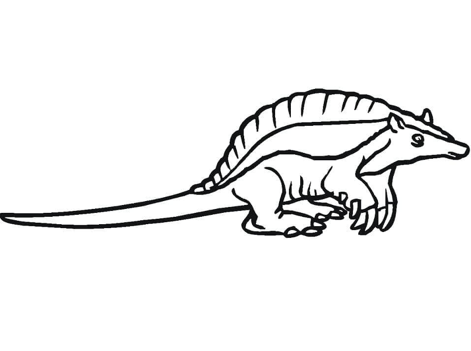 dibujo pequeno armadillo para colorear