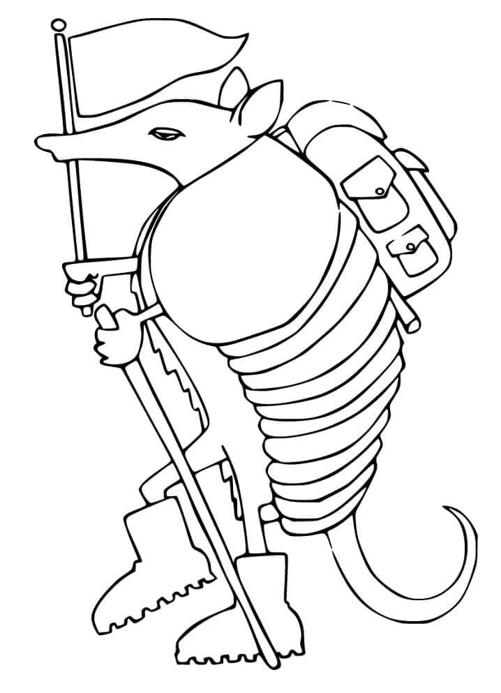 dibujo senderismo en armadillo para colorear