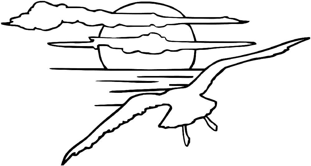Dibujo de Gaviota Al Atardecer para Colorear y Imprimir