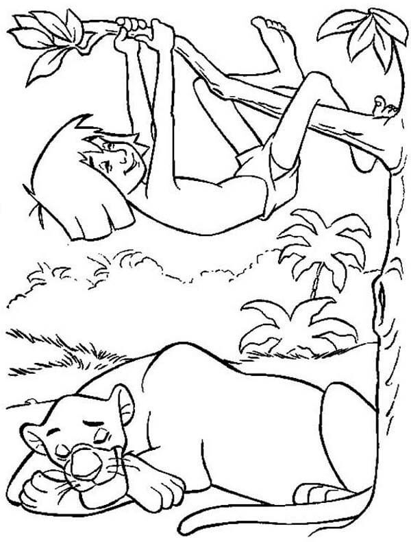 Dibujo de Bagheera Durmiendo y Escalada Mowgli para Colorear y Imprimir