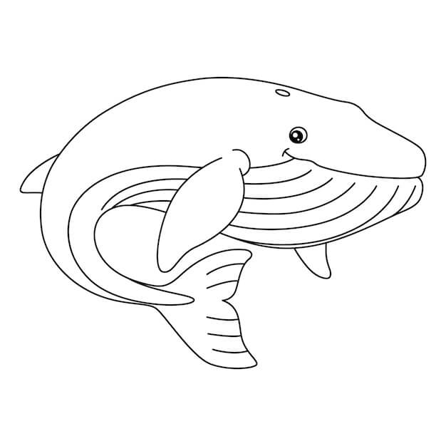 dibujo ballena adorable para colorear