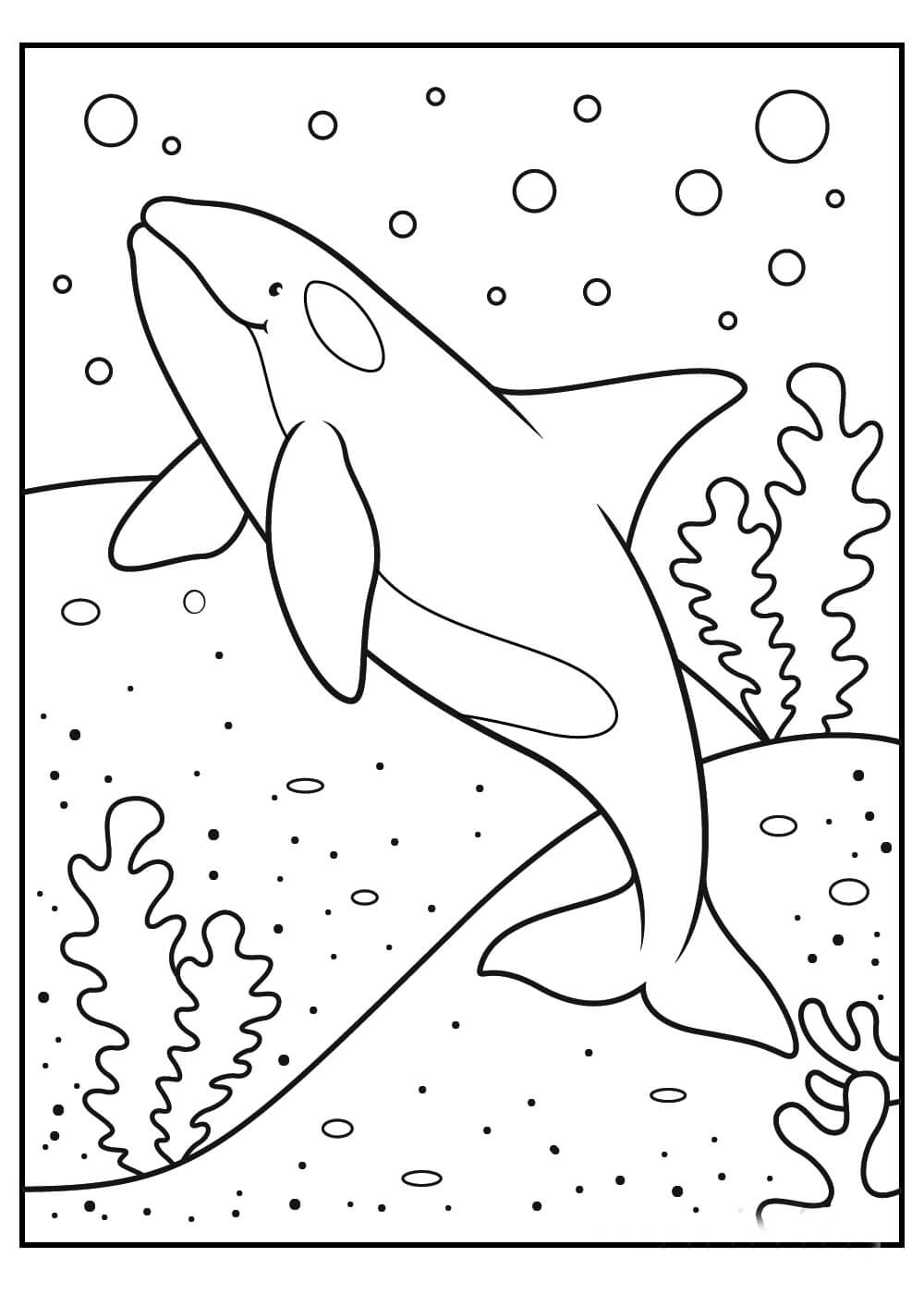 dibujo ballena basica para colorear