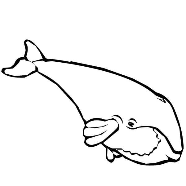 dibujo ballena de dibujos animados divertido para colorear