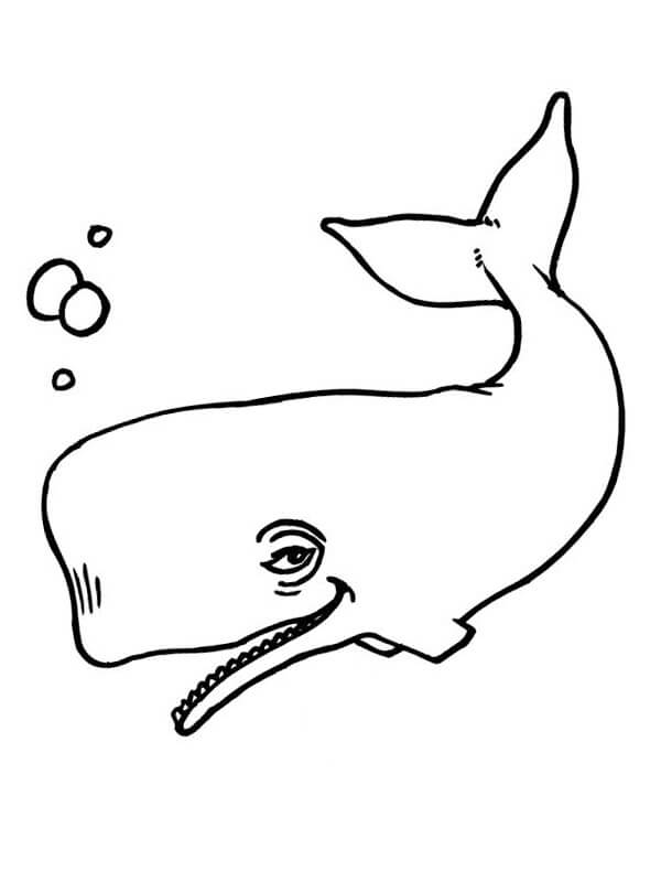dibujo ballena divertida con estrellas para colorear