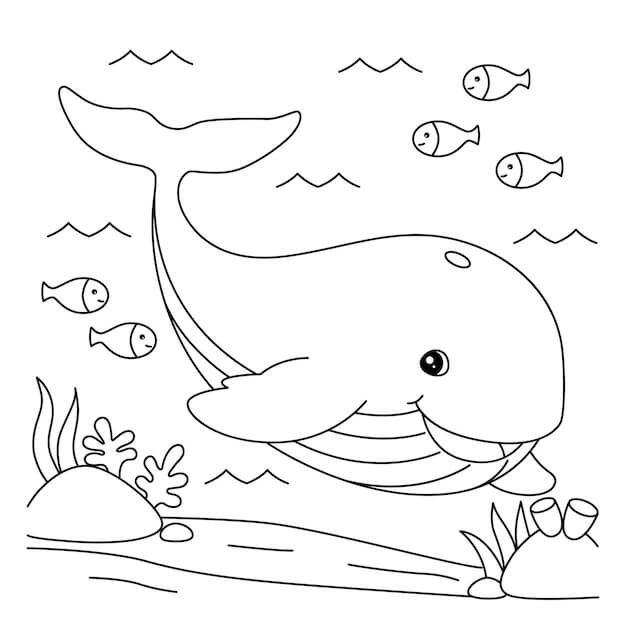 dibujo ballena divertida para colorear
