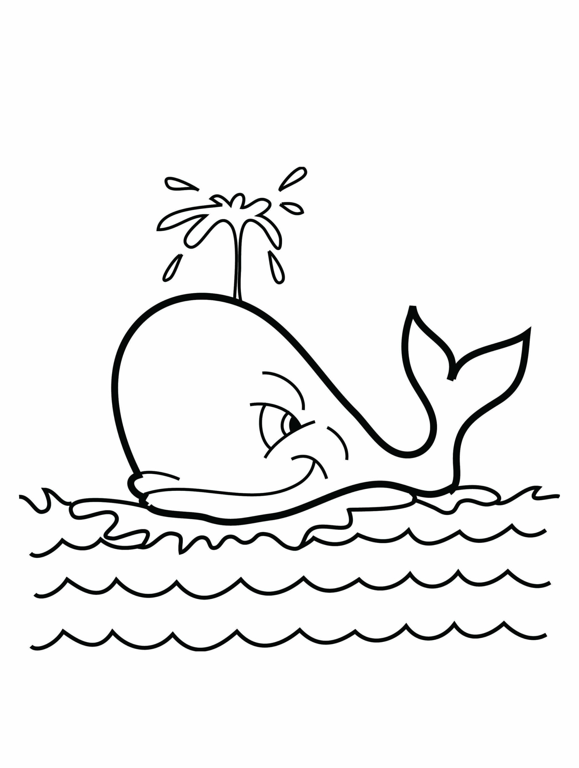 dibujo ballena normal scaled para colorear