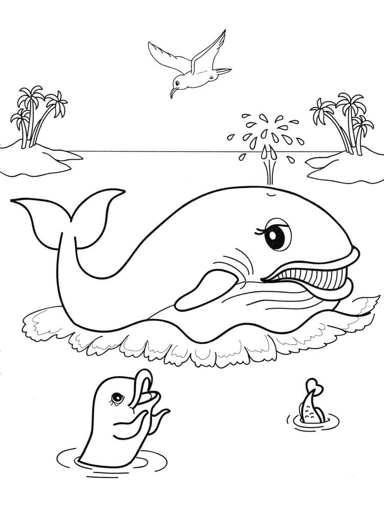 dibujo ballena y animal marino para colorear