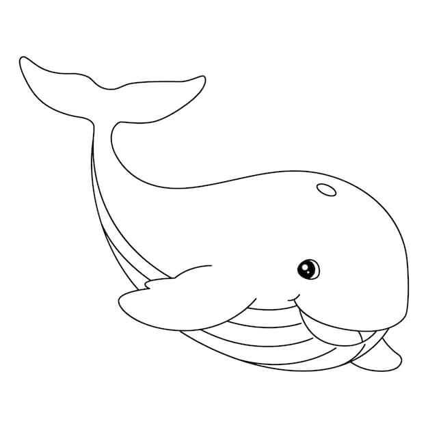 Dibujo de Ballena de La Diversión para Colorear y Imprimir