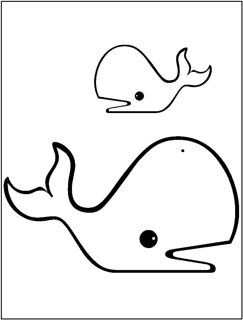 dibujo dibujar dos ballenas para colorear
