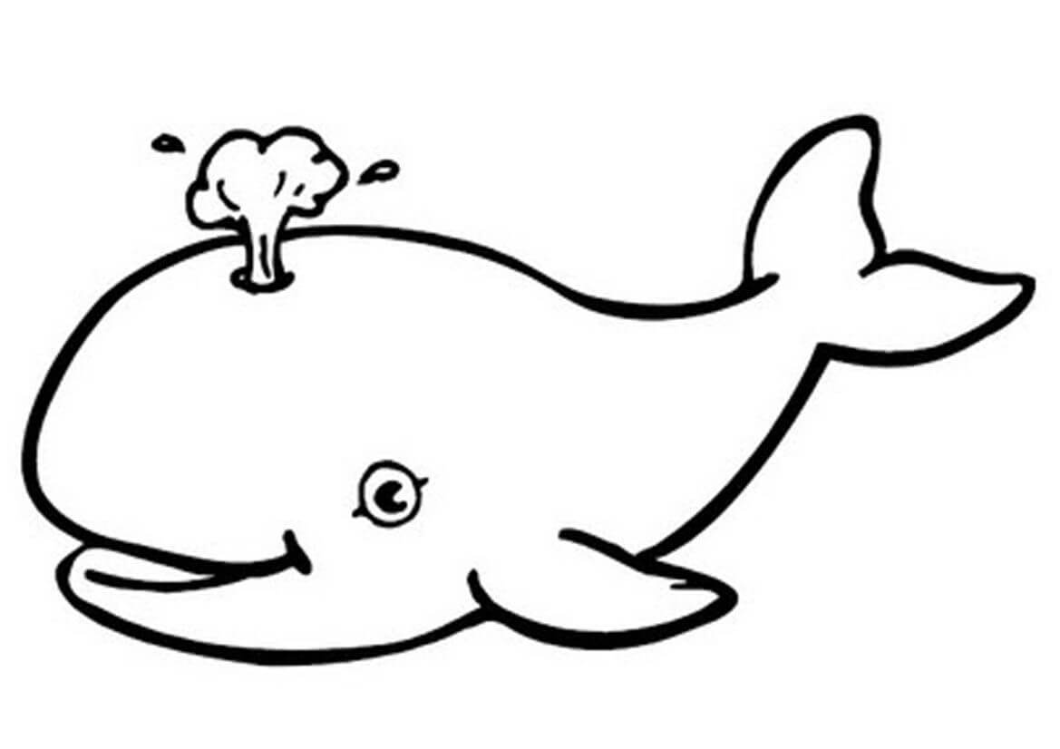 dibujo dibujo ballena para colorear