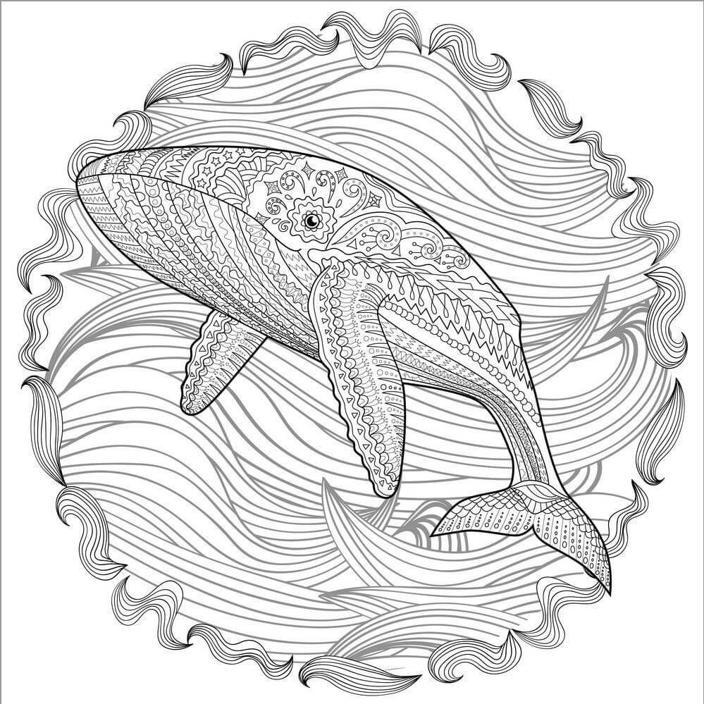 dibujo la ballena es para adultos para colorear