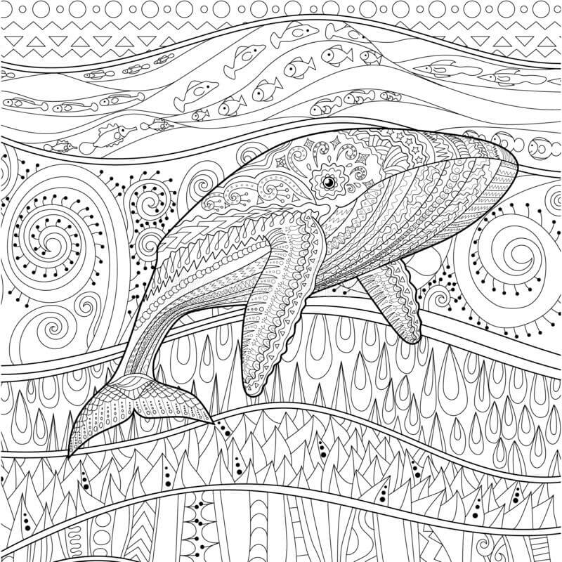 dibujo mandala de ballenas para colorear