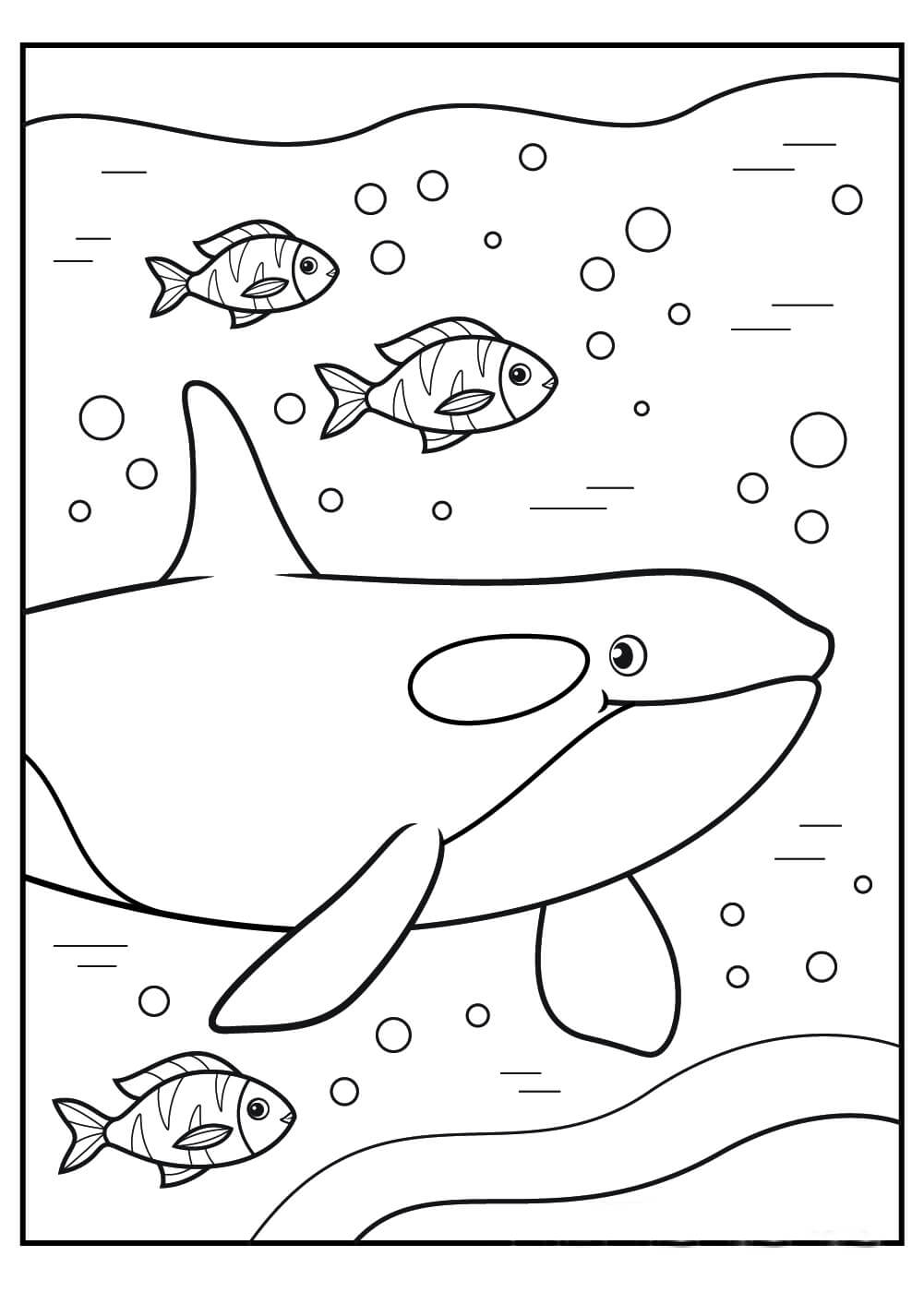dibujo retrato de ballena y peces para colorear
