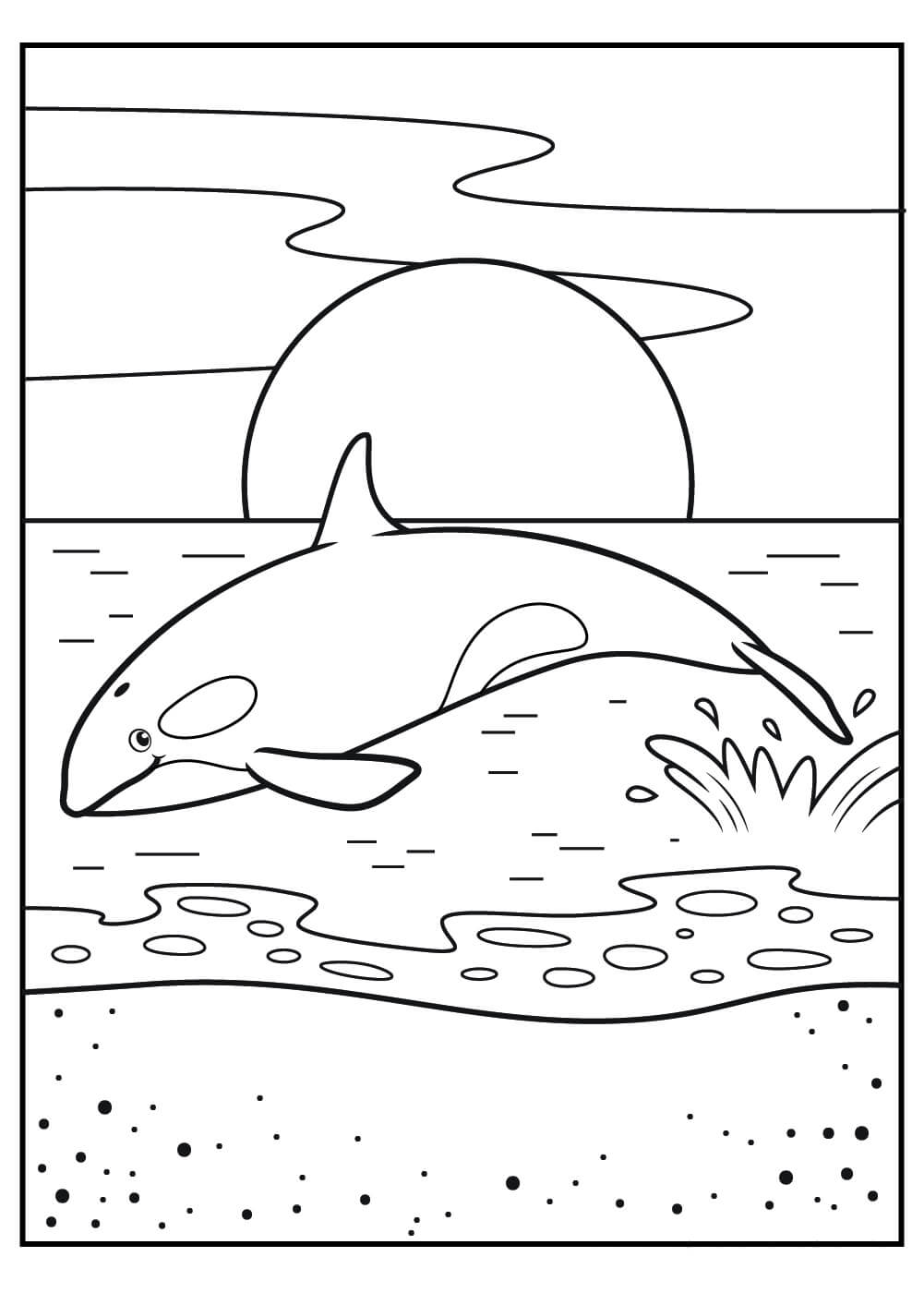 dibujo salto de ballena asesina para colorear
