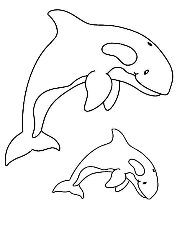 dibujo salto de dos ballenas para colorear
