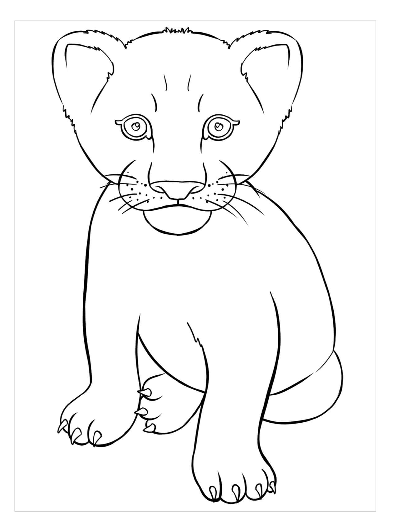 Dibujo de Bebé León para Colorear y Imprimir