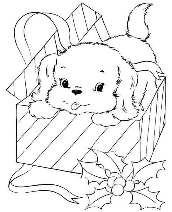 Dibujo de Perro Bebé En Caja de Regalo para Colorear y Imprimir