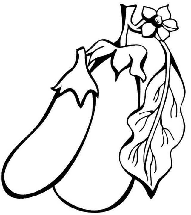 dibujo dos berenjenas basicas para colorear