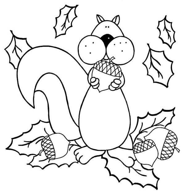 dibujo ardilla comiendo bellota para colorear