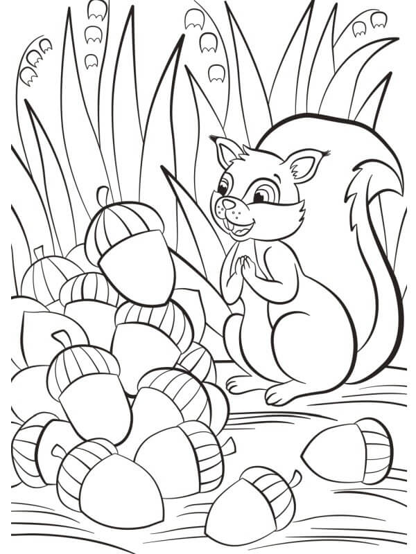 dibujo ardilla feliz con bellota para colorear