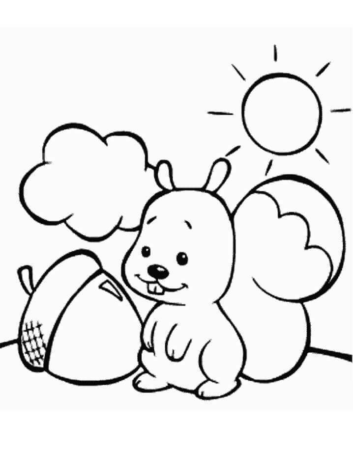 dibujo ardilla y bellota para colorear