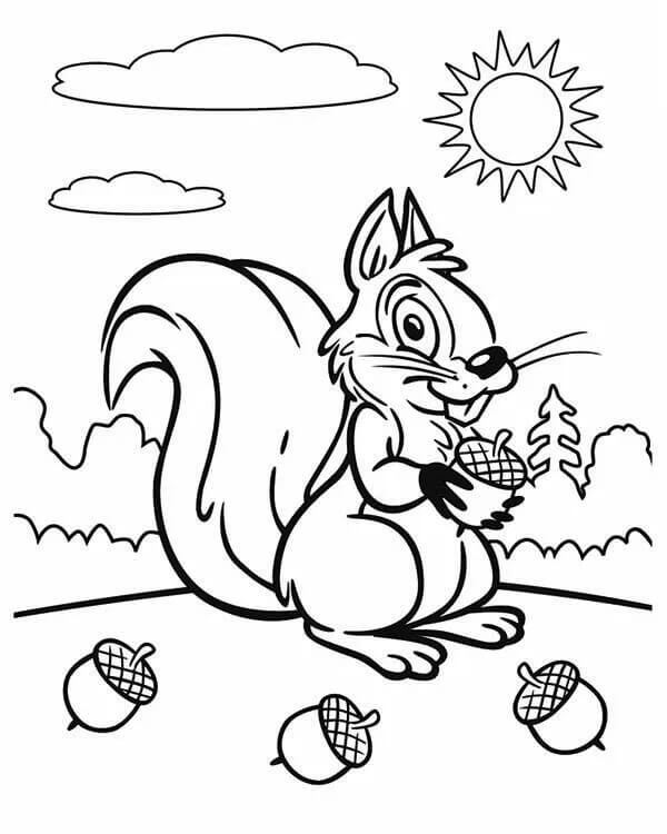 dibujo ardilla y bellotas para colorear
