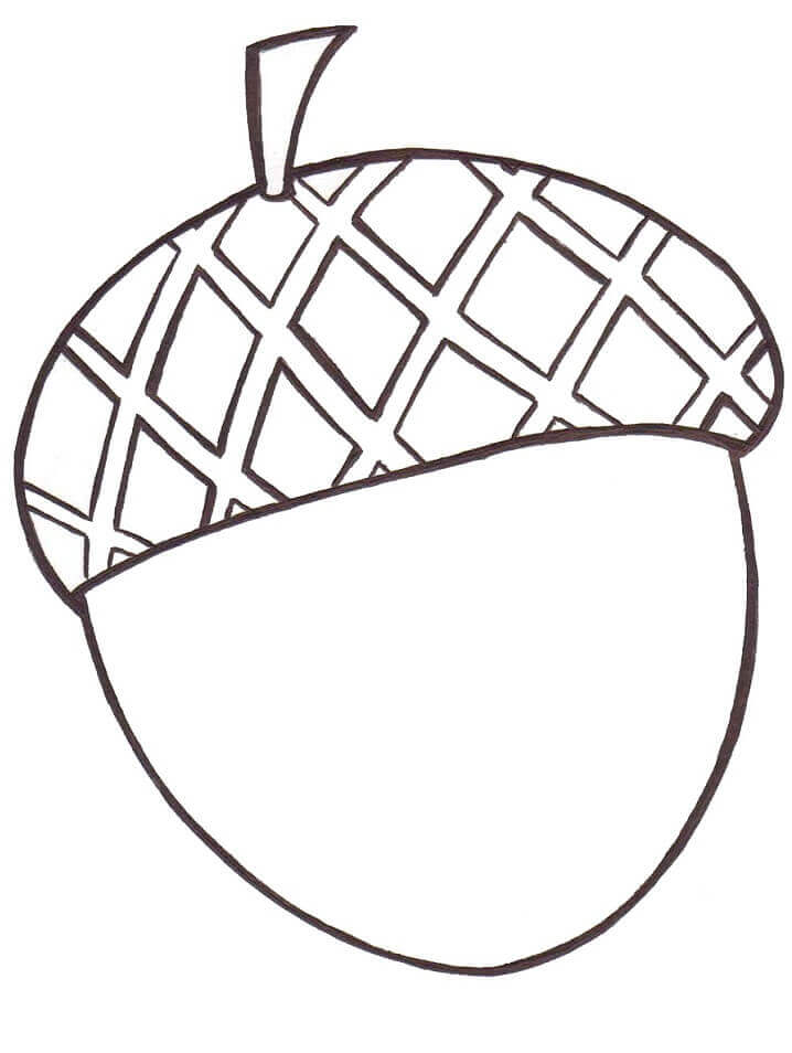 dibujo bellota basica para colorear