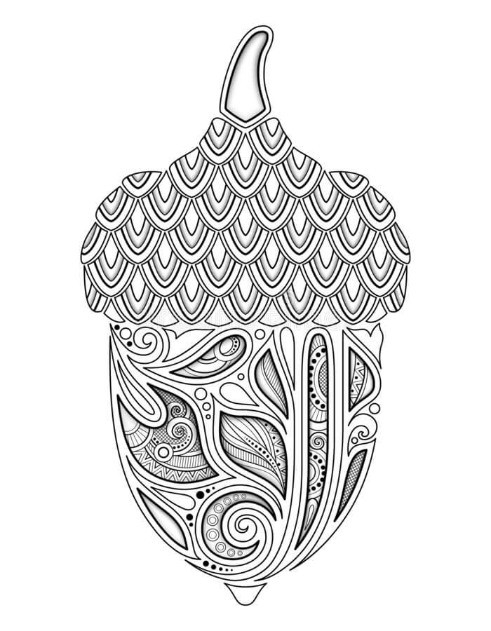 dibujo bellota dura para colorear