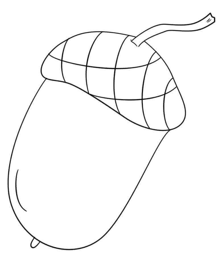 dibujo bellota facil para colorear