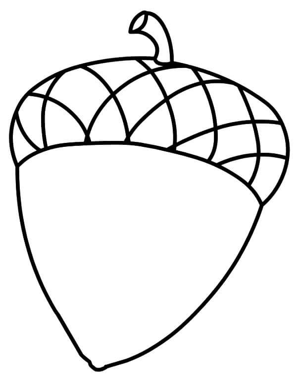 dibujo bellota hermosa para colorear