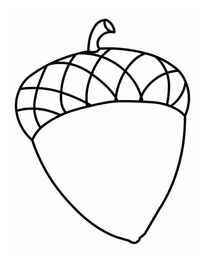 dibujo bellota pequena para colorear