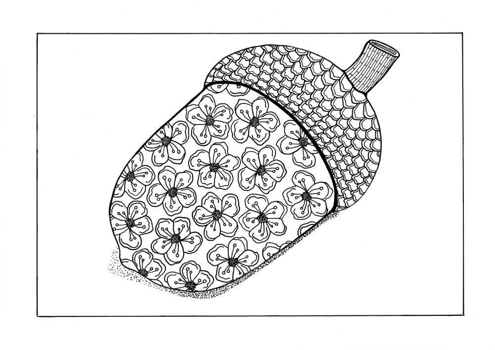 dibujo bellota de otono adulto para colorear