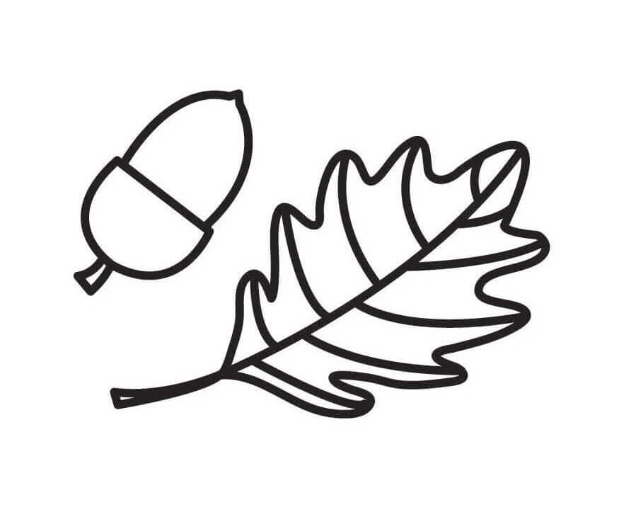 dibujo bellotas de dibujos animados para colorear