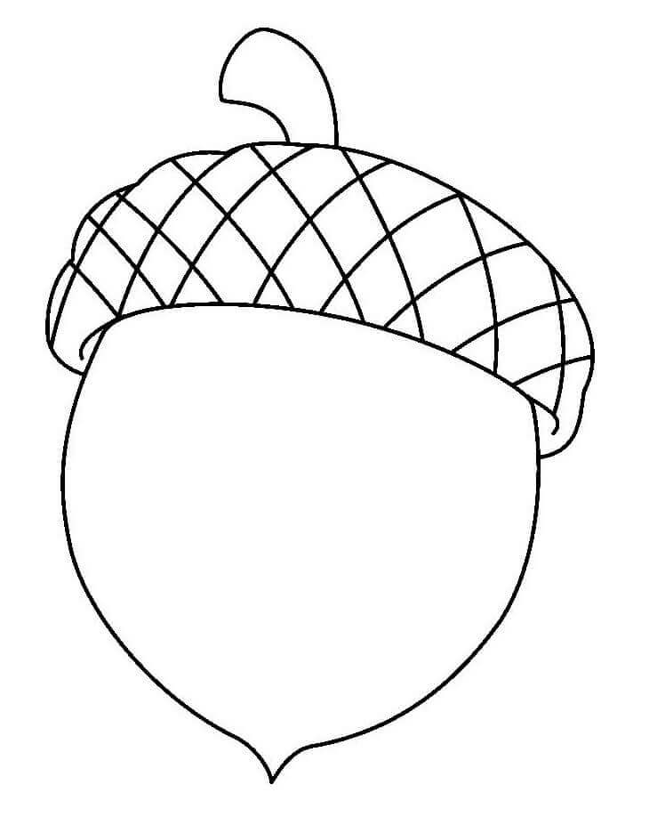 dibujo bonita bellota para colorear