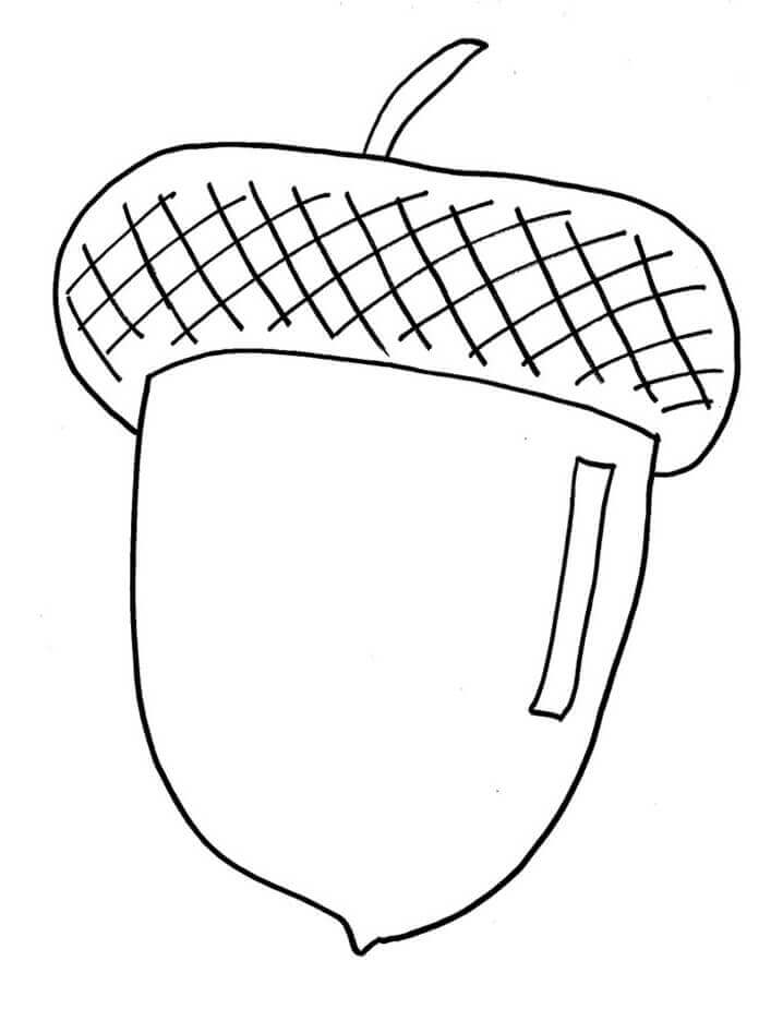 dibujo dibujo de bellota para colorear